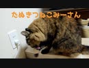 今日もぺろぺろみーさん