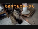 あったかみーさん