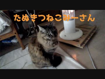 あったかみーさん