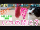 【子猫】天才子猫爆誕 1人で出して1人で遊ぶ  現在の体重も発表
