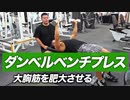 ベンチプレスより効果大？ 大胸筋を肥大させるダンベルプレスのやり方【ビーレジェンド プロテイン】