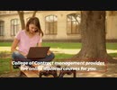 What are the Online Diploma Courses