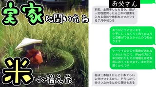 [天穂のサクナヒメ]稲作が上手くいかないので実家農家の父に相談したらマジで収穫量が増えた気がする[米作り4年目]