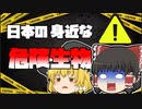 【ゆっくり解説】日本にいる身近な危険生物