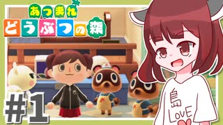 【あつまれどうぶつの森】きりたんののんびり島生活＃１