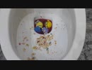 M&M'sとミニオンをトイレに流してみた１