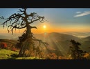 風に聞け２０１１１９　Rainy Day - Matt Harris