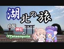 湖北の旅 ～白髭神社とメタセコイヤ～