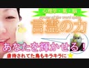 【重要！】あなたを輝かせる❗️ 言霊の力✨《心理学・脳・氣》～虐待されていた鳥さんもキラキラ✨に～ -