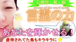 【重要！】あなたを輝かせる❗️ 言霊の力✨《心理学・脳・氣》～虐待されていた鳥さんもキラキラ✨に～ -