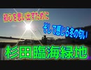 釣り動画ロマンを求めて 377釣目 （杉田臨海緑地）