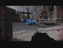 FFA×AK-47(声なし)【CoD:BOCW】