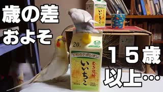 大好きな「あの子（24歳お爺ちゃんインコ）」に注目されたくて…