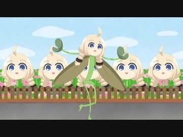 あかりロード