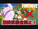 【Fortnite】最終武器全縛りで縛りプレイに初挑戦！