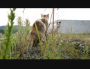 あまりにも素敵な夫婦だから