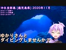 【沖永良部島① (鹿児島県)】ゆかりさんとダイビングしませんか？