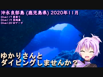 【沖永良部島① (鹿児島県)】ゆかりさんとダイビングしませんか？