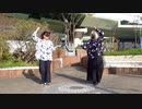 【珍味。】うそつき【踊ってみた】
