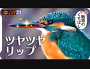 1121【漆艶嘴カワセミの伸び天使】ハーレムコガモにカルガモ、捕食セキレイ、サザンカにメジロ、エナガとシジュウカラ、紅葉もみじにイチョウ。【 #今日撮り野鳥動画まとめ 】 #身近な生き物語