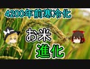 4200年前の寒冷化がお米に進化をもたらした【ゆっくり解説】