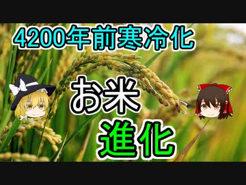 いま話題の 稲作 進化の歴史をおさらいしてみよう ニコニコニュース