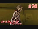 RE出たけど無印版を初見プレイ【真・女神転生ⅢNOCTURNE】　＃20
