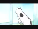 犬と猫どっちも飼ってると毎日たのしい