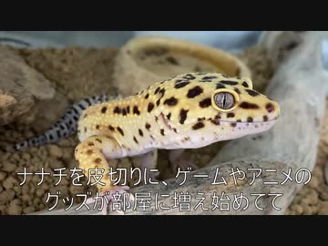 [ナナチが]タランチュラ飼育日記その９[大正義]
