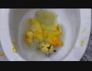 ミニオンのケーキをトイレに流してみた