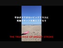 How to Breaststroke Kick