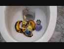 M&M'sとバナナとミニオンをトイレに流してみた