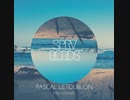 Friendships (Original Mix) - Pascal Letoublon