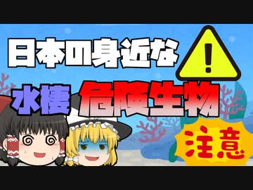 【ゆっくり解説】日本にいる水辺の身近な危険生物　