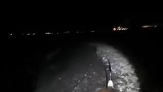 シーバス釣るまで帰れません釣果