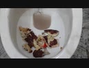 ペニーワイズをトイレに流してみた２