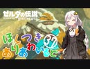 【ゼルダの伝説BotW】ほしつきありあわいるどPart37【VOICeVI実況】