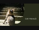 Cat Hermit / joy