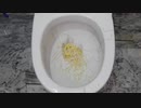 パスタとマカロニをトイレに流してみた