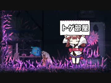 迷いきりたん #11