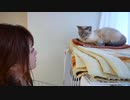 ついにお別れの時が来てしまいました…