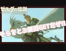 【ゼルダの伝説BotW】バクダンで大体のことは解決する大冒険 part39【実況】