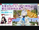 【minecraft】ホロ運動会のエリトラ競技にてかなたんが実は3回赤枠を潜っていたのか？の検証とその後の後日談