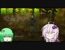 【ゆっくり＆ボイロ】霧深き森で鬼ごっこ　その１０