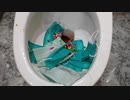 M&M'sとマスクをトイレに流してみた