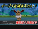 ポケモン剣盾　イーブイを捕まえる方法！オススメの場所は？天気は？ポケモン図鑑コンプへの道！　【ポケモンソード・シールド】