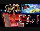 【ポケモン剣盾】カンムリビギニングでローブシンが強かった件！【冠の雪原】