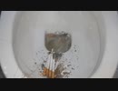 タバコの吸い殻をトイレに流してみた４