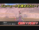 ポケモン剣盾　エンニュートを捕まえる方法！オススメの場所は？天気は？ポケモン図鑑コンプへの道！　【ポケモンソード・シールド】