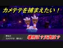 ポケモン剣盾　カメテテを捕まえる方法！オススメの場所は？天気は？ポケモン図鑑コンプへの道！　【ポケモンソード・シールド】